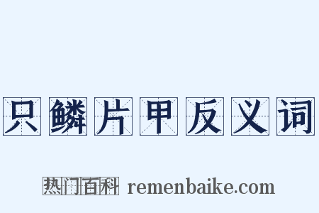 只鳞片甲反义词是什么意思的图片
